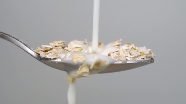 Milk Pouring Spoonful Dry Oatmeal Slow Motion Splash Preparing Breakfast — Stock Video