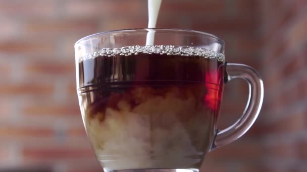 Versare Latte Nel Caldo Una Tazza Vetro Sullo Sfondo Muro — Video Stock