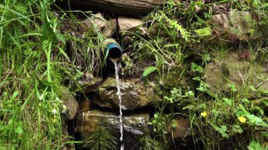Taştan duvarı ve yeşil otları olan bir ormandaki plastik bir borudan drenaj suyu akar. Yavaş çekim
