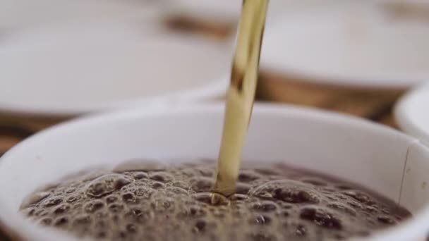 Koyu Siyah Çay Kağıt Bardağa Yavaş Çekimde Dökülür Makro Atış — Stok video