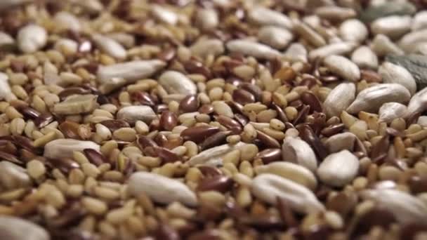 Mix Dried Seeds Close Macro Shot Rotation Flaxseed Chia Pumpkin — Stock Video