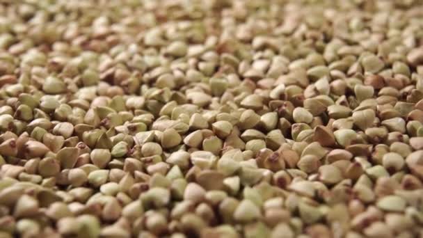 Korrels Rauwe Groene Boekweit Spinnen Macro Heeft Geschoten Superfood Concept — Stockvideo