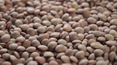 Çiğ mercimek taneleri kapanıyor. Pişmemiş baklagiller dönüyor. Makro atış. Döndürme