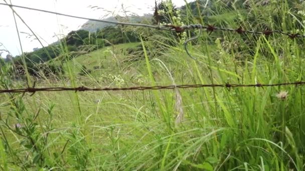 Terrain Agricole Avec Barbelés Forêt Flanc Colline Champs Agricoles Avec — Video