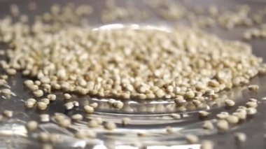 Parlak bir tabakta taze kinoa tohumları. Makro atış. Döndürme. Sağlıklı yiyecek glütensiz konsept
