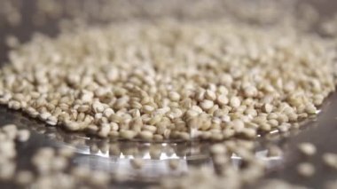 Çiğ kinoa tohumları parlak bir tabağa düşer. Makro atış. Döndürme. Glütensiz ve sağlıklı gıda konsepti. Vejetaryen süper yiyecekler