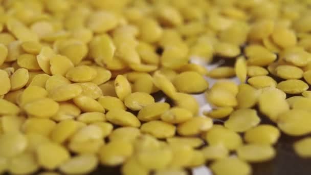 Падающая Жёлтая Азиатская Чечевица Замедленной Съемке Макро Вращение — стоковое видео