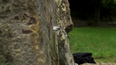 Doğal maden suyu yavaş çekimde dökülür. Kutsal kaynak. Antik taş tabanı. Orman bulanık