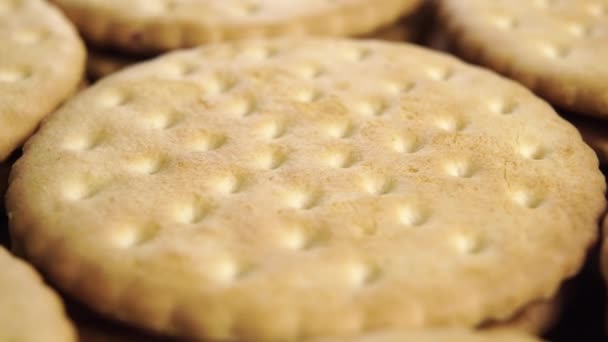 Biscoitos Redondos Biscoitos Com Padrão Pontilhado Empilhados Fileiras Superfície Cozida — Vídeo de Stock