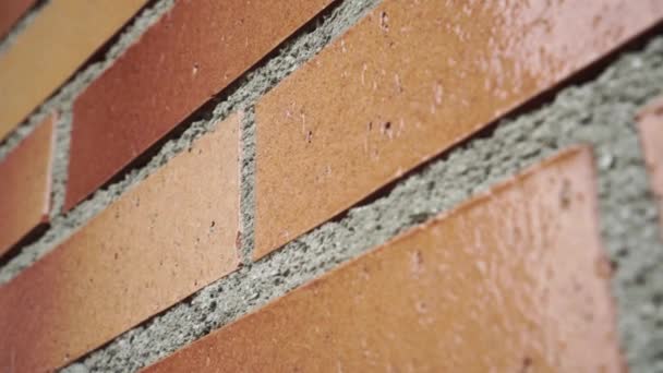 Textured Brick Wall Close Dolly Shot — Stock Video