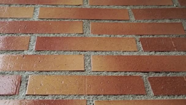 水泥缝合处的砖墙紧密相连 Dolly Shot — 图库视频影像
