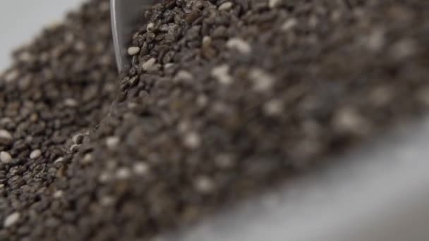 Metal Spoon Moves Pile Chia Seeds Slow Motion White Cup — Stock Video