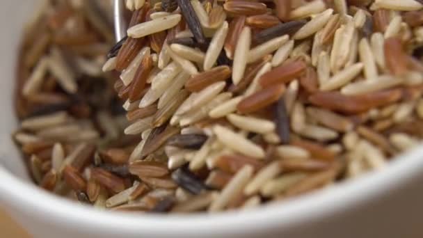 Miscelato Vari Tipi Riso Basmati Lungo Asiatico Scavare Con Cucchiaio — Video Stock