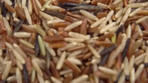 Spoon Scoops Raw Basmati Rice Grain Mix Slow Motion Macro — Stock Video