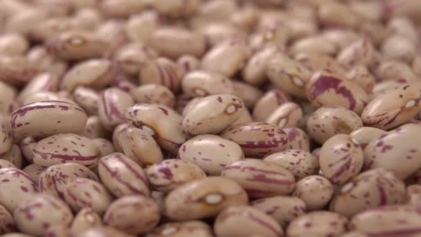 Raw Uncooked Red Cranberry Beans Fall Heap Slow Motion Macro — Stock Video