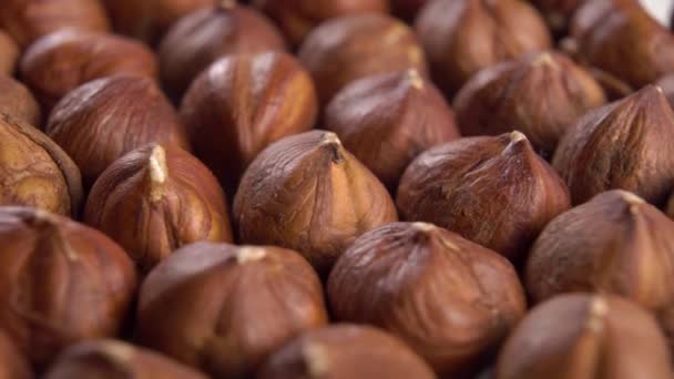 Hazelnut Kernels Macro Rotating Fresh Raw Shelled Nut Organic Ingredient — Vídeo de Stock