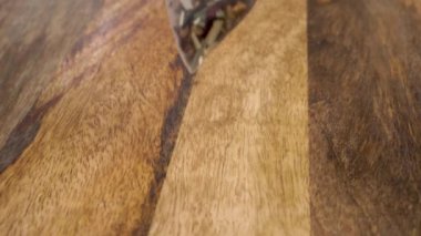 Herbal teabag. Close up