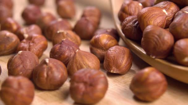 Full Wooden Spoon Fresh Hazelnuts Shell Macro Dolly Shot Organic — Vídeo de Stock