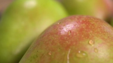 Drops and splashes of water fall on a ripe pear. Macro. Dolly shot. Slow motion