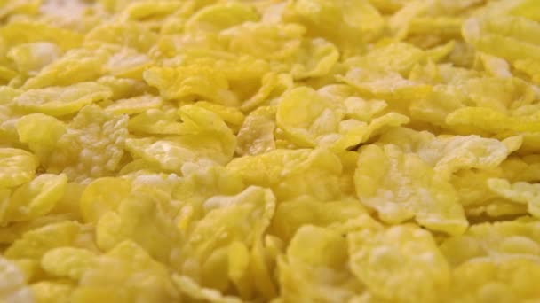 Niegotowane Płatki Kukurydziane Wysusz Szybkie Śniadanie Makro Dolly Strzał — Wideo stockowe