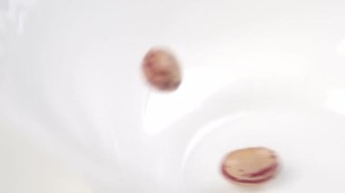 Yaban mersini taneleri yavaş çekimde boş bir beyaz kaseye düşer. Çiğ baklagiller. Makro çekim