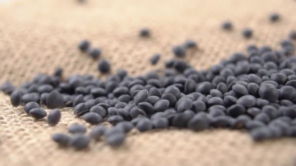 Falling Black Dry Raw Lentils Rustic Burlap Slow Motion Macro — Video