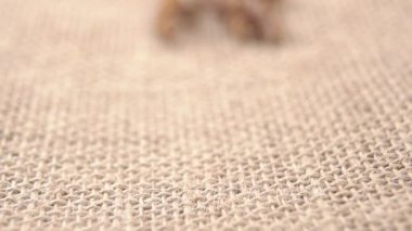 İntegral spiral makarna fusilli ağır çekimde çuvalın üstüne düşüyor. Bir yığın kahverengi makarna. Makro atış. Kırsal görünüm