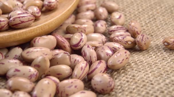 Raw Red Brown Borlotti Pinto Beans Wooden Spoon Sackcloth Macro — Stock Video