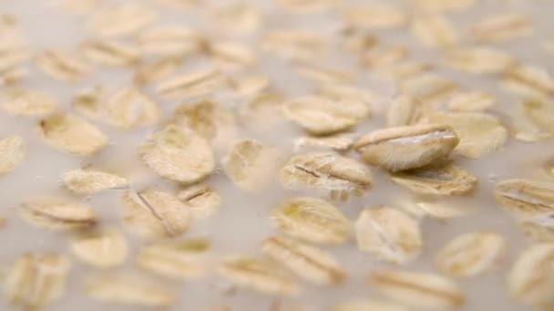 Farina Avena Con Latte Cereali Caduti Rallentatore Macro Sparato Concetto — Video Stock