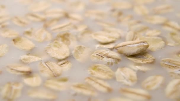 Cocinar Avena Con Leche Cereales Cámara Lenta Macro Disparó Concepto — Vídeos de Stock