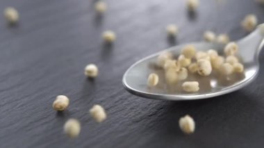 Kuru kabarık kinoa tanecikleri yavaş çekimde taş bir mutfak yüzeyinde kaşığa düşer. Makro. Glütensiz konsept. Doli Vuruşu