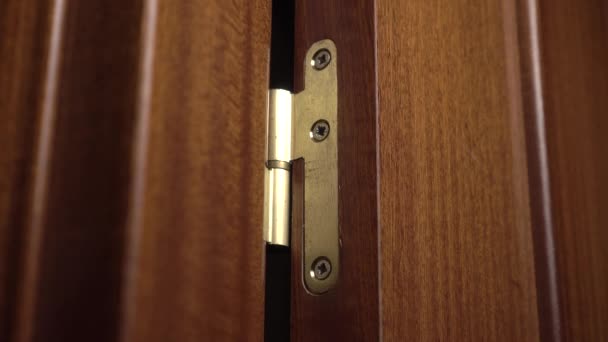 Old Rough Golden Hinge Brown Dark Wooden Room Door Opening — Stock Video