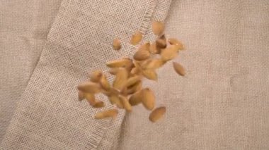 Kırsal bir çuval bezine düşen kuru badem. Çiğ fındıklar kapanıyor. Ağır çekim. Üst görünüm