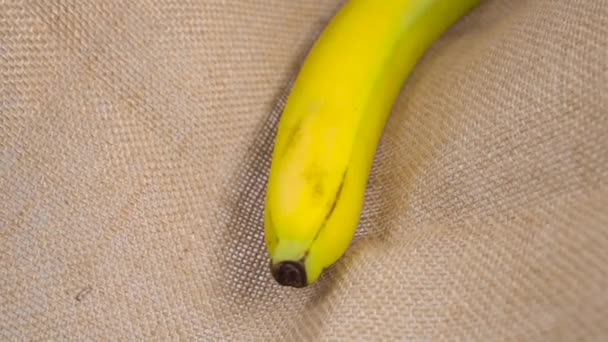 Handen Plockar Upp Mogen Bananfrukt Från Grov Rapsäck Friska Tropiska — Stockvideo