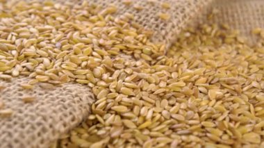 Kırsal bir çuval bezinde keten tohumu. Makro. Dolly vurdu.