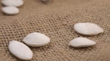 Kavrulmuş tuzlu beyaz balkabağı çekirdekleri yavaş çekimde kırsal bir çuval bezine düşer. Makro