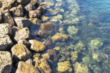 Taşlı deniz kıyısını kapatın. Taşlı deniz kıyısı