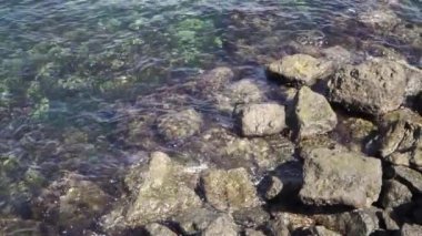 Ağır çekimde sakin dalgalarla taştan okyanus kıyısı. Doğal sükunet ve deniz rahatlama kavramı