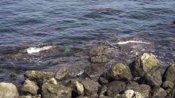 Pedra Mar Surf Close Movimento Lento Beleza Natureza — Vídeo de Stock