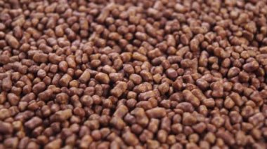 Kızarmış soba karabuğday çayı. Kahverengi granüller. Döndürme. Makro atış. Geleneksel Japon içeceği.