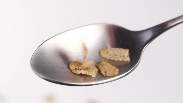 Dry Uncooked Cereal Spelt Flakes Fall Spoon Slow Motion Healthy — Stock Video