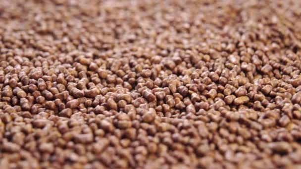Kahverengi Karabuğday Çayı Granülleri Makro Dolly Vurdu — Stok video