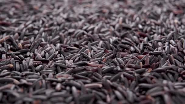 Granos Secos Arroz Negro Macro Dolly Shot — Vídeo de stock