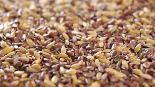 Fallende Gemischte Flachs Und Chia Samen Makro Rotation Natürliche Ergänzung — Stockvideo