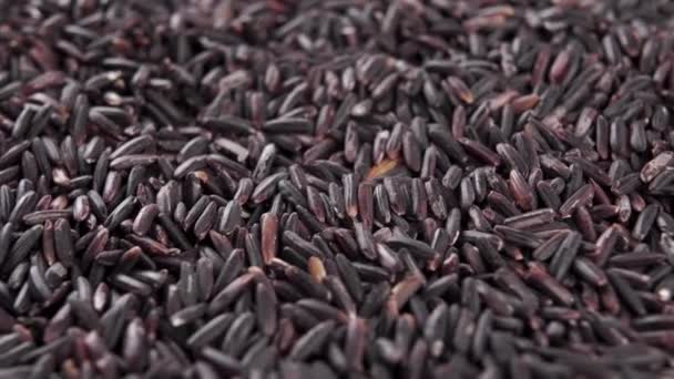 Arroz Jazmín Bayas Silvestres Negras Granos Secos Sin Cocer Alimento — Vídeos de Stock