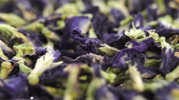 Brauen Schmetterling Blauen Tee Zeremonie Hand Nimmt Getrocknete Blaue Klitorisblumen — Stockvideo