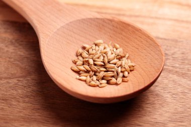 Tahta kaşıkta kedi otu taneleri. Yaklaş.