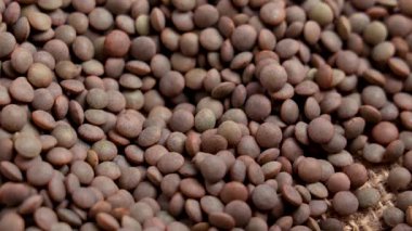 Tahta kaşıktan düşen kuru kahverengi mercimek. Bir baklagil malzemesi..