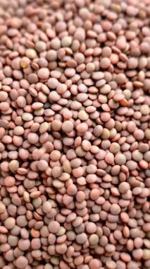 Organik mercimek tohumları yavaş çekimde düşüyor. Çiğ, kuru baklagil malzemesi. Döndürme