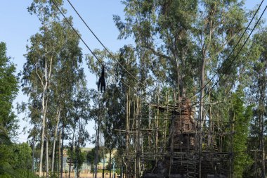 Orlando, Florida, ABD, 9 Mayıs 2021: Disney Hayvan Krallığı, Günümüz insanları.